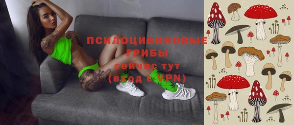 амф Алексин