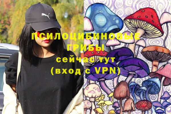 Альфа ПВП Алзамай